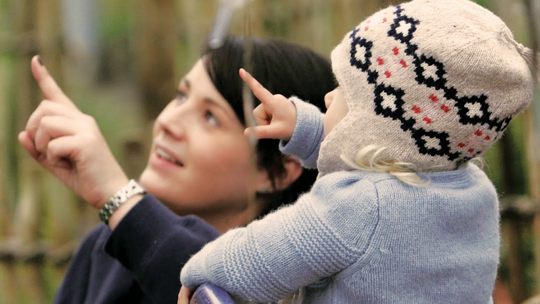 Photo of Bear Park Albany