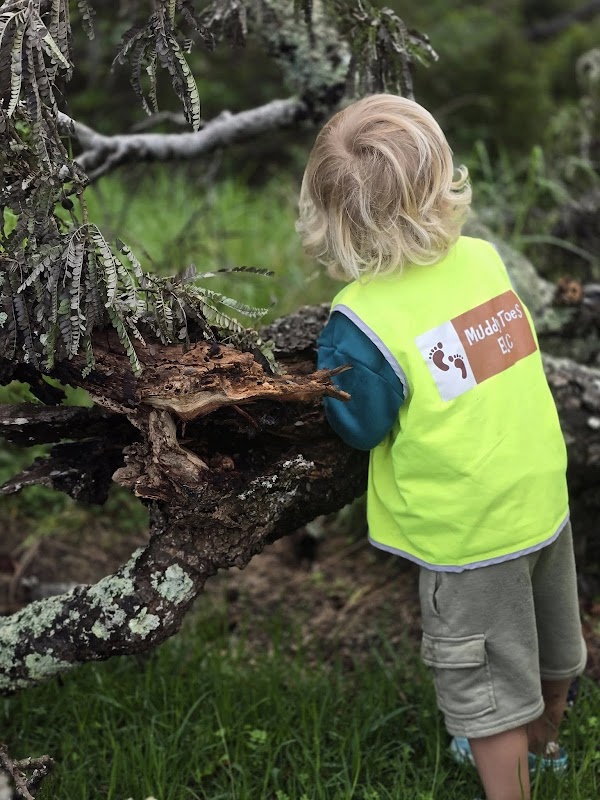Photo of Muddy Toes ELC Stanmore Bay