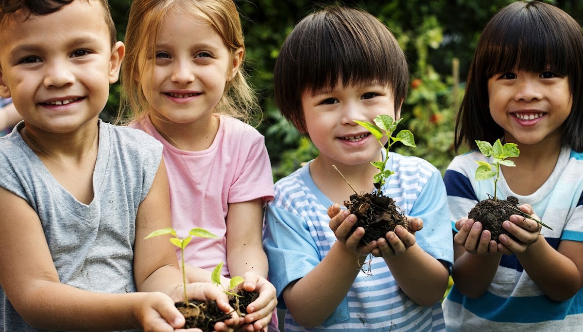 Photo of Seven Stars Kindergarten